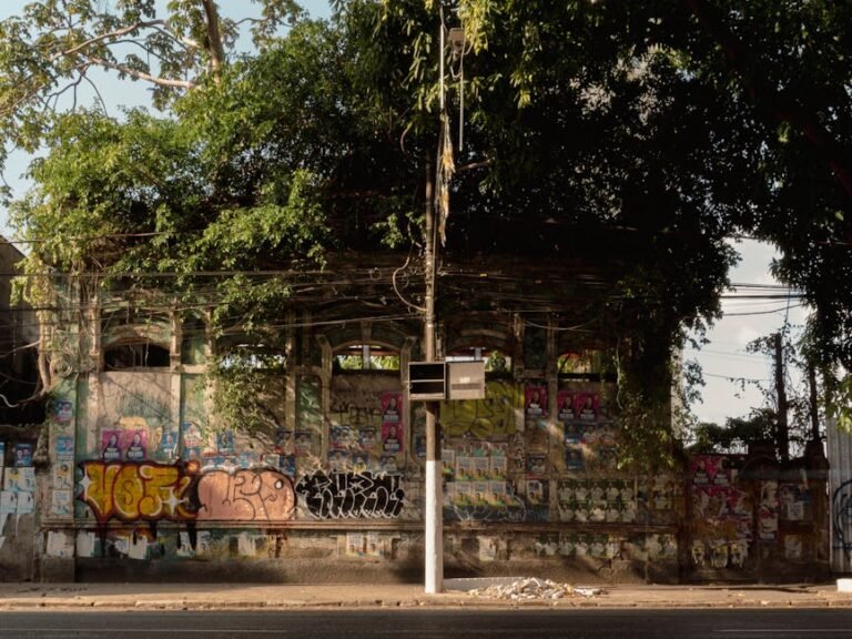 Actividades deportivas en Valencia: oportunidades para todos