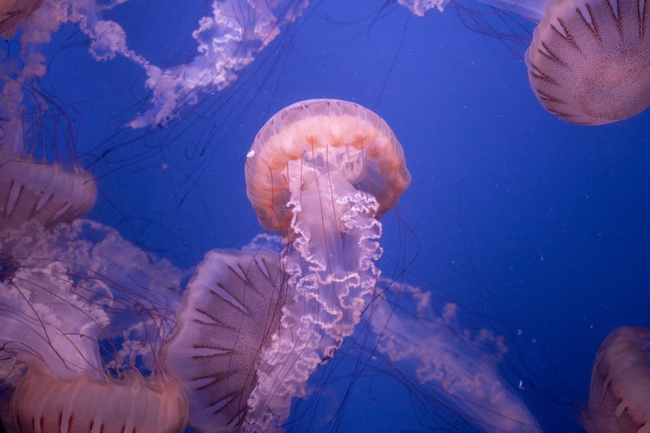 Actividades educativas y culturales en Valencia