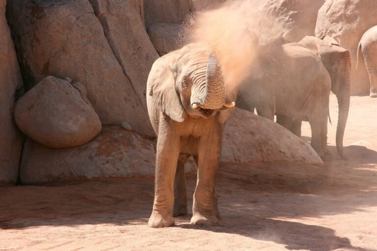 Cómo calcular el impuesto de circulación en Valencia
