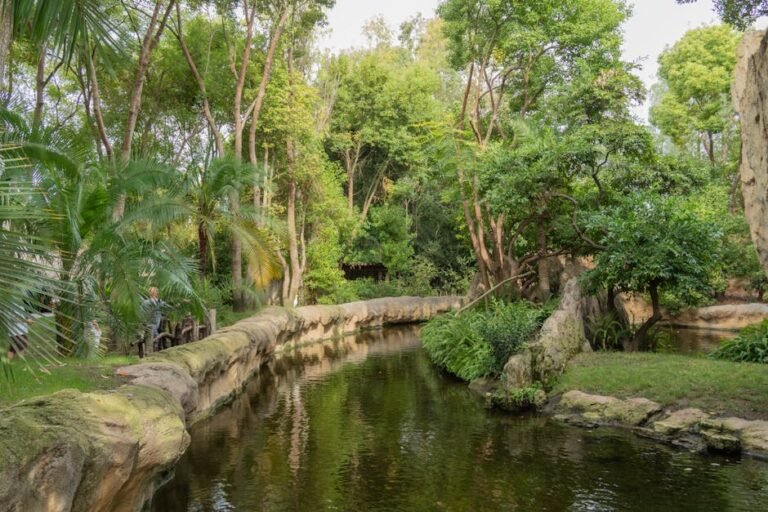 Información sobre averías de agua en Valencia