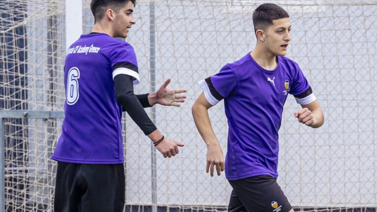 1746058763_MAYO-2025-PROGRAMAS-DE-LA-ACADEMIA-VCF.jpg