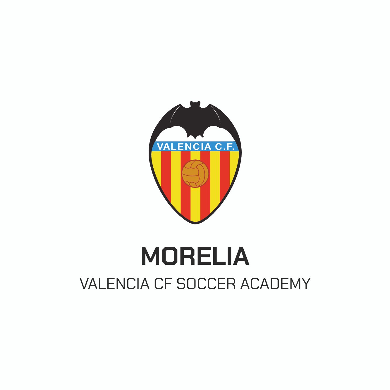 El-Valencia-CF-abre-su-primera-VCF-Academy-en-Mexico.jpg