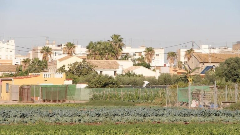El-Consell-Agrari-de-Valencia-aprueba-su-plan-de-inspeccion.jpeg