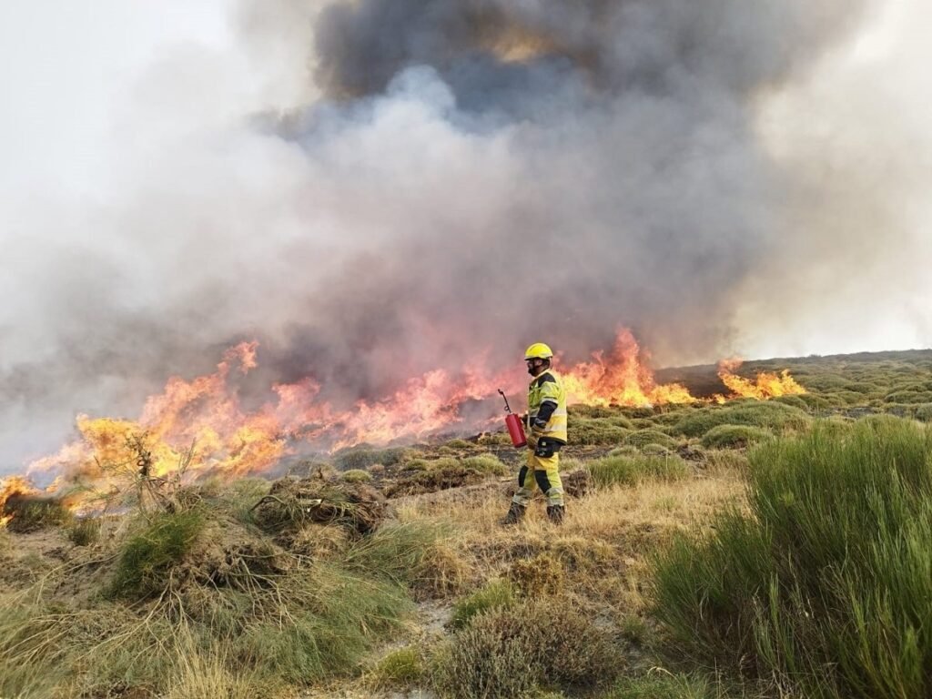 Bomberos-valencianos-apoyan-en-incendios-de-Castilla-y-Leon.jpg