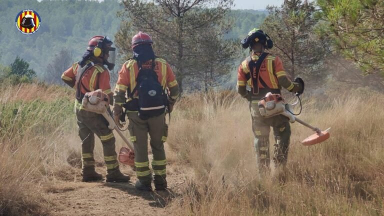 Incendio-en-Cumbres-de-Valencia-Moixent-estabilizado.jpg