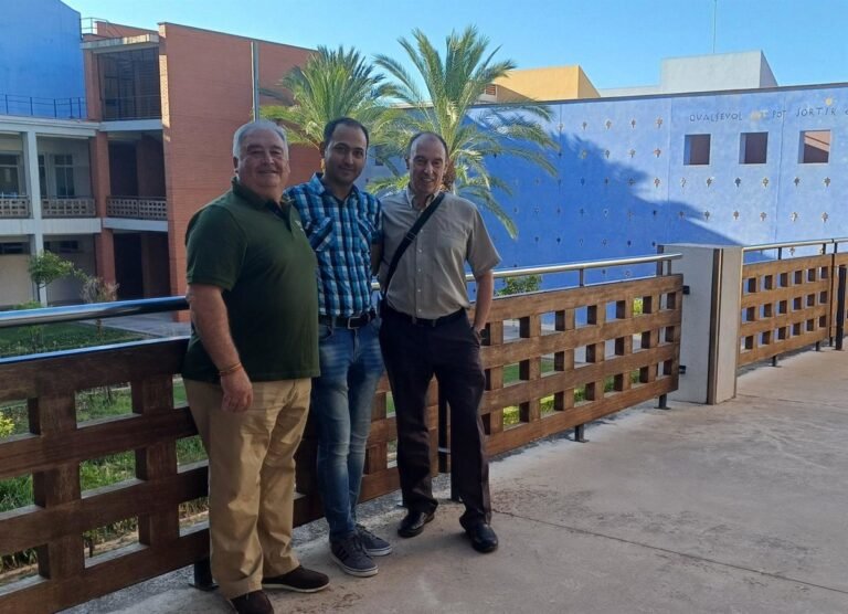 Aplicacion-para-diagnostico-de-patologias-en-naranjos-desarrollada-por-investigadores.jpg