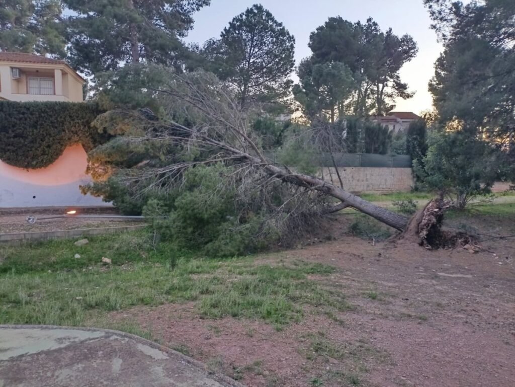 El-viento-causa-danos-y-cortes-en-la-Comunitat-Valenciana.jpg
