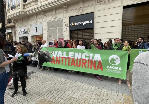 Concentracion-en-Valencia-denuncia-el-maltrato-del-festejo-taurino-que.jpg