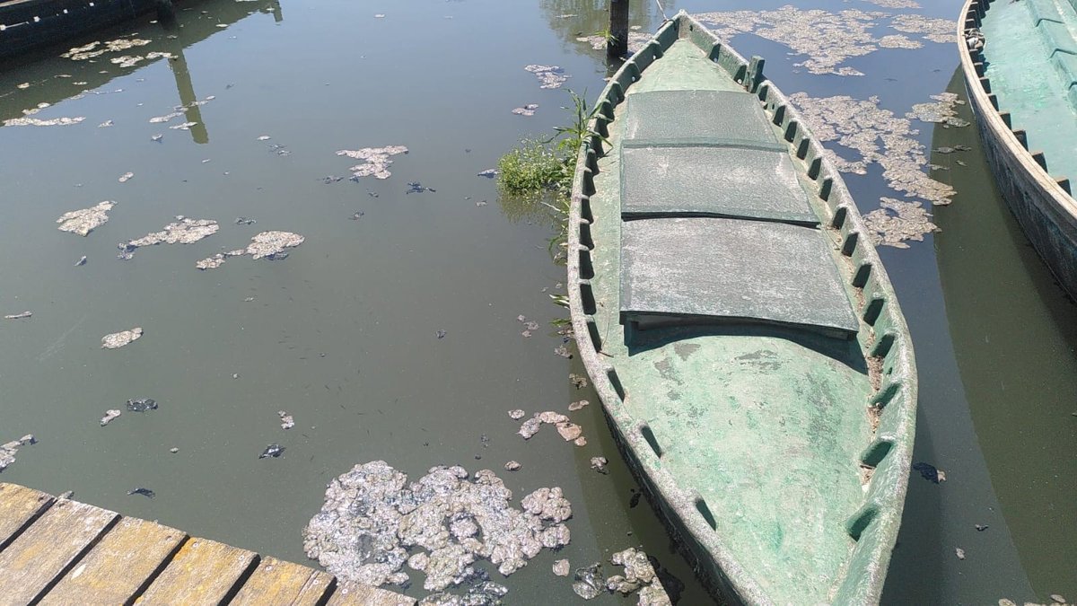 Accio-Ecologista-Agro-alerta-del-vertido-de-aguas-residuales-de-Catarroja.jpg