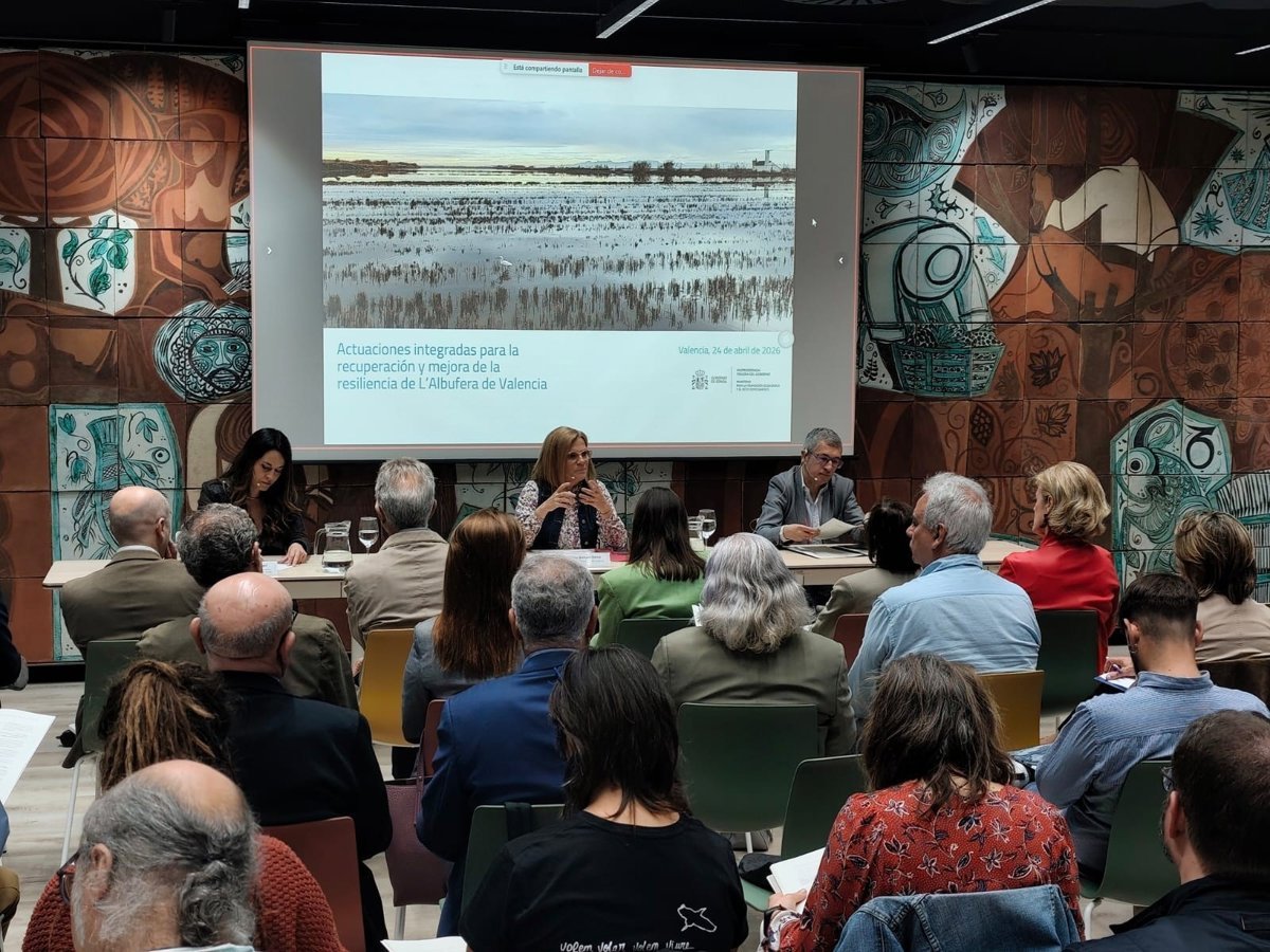 El-Plan-Albufera-recibe-una-inversion-de-132-millones-de.jpg