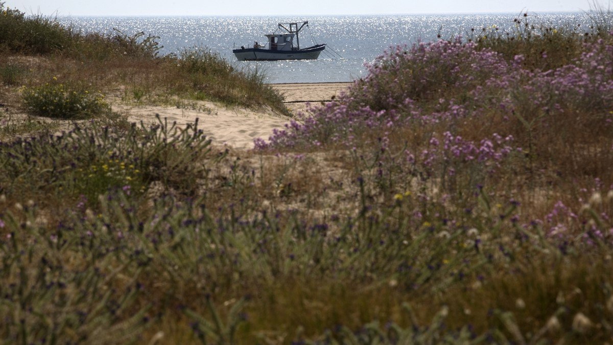La-Concejalia-de-Devesa-Albufera-refuerza-la-limpieza-con-un-contrato.jpeg