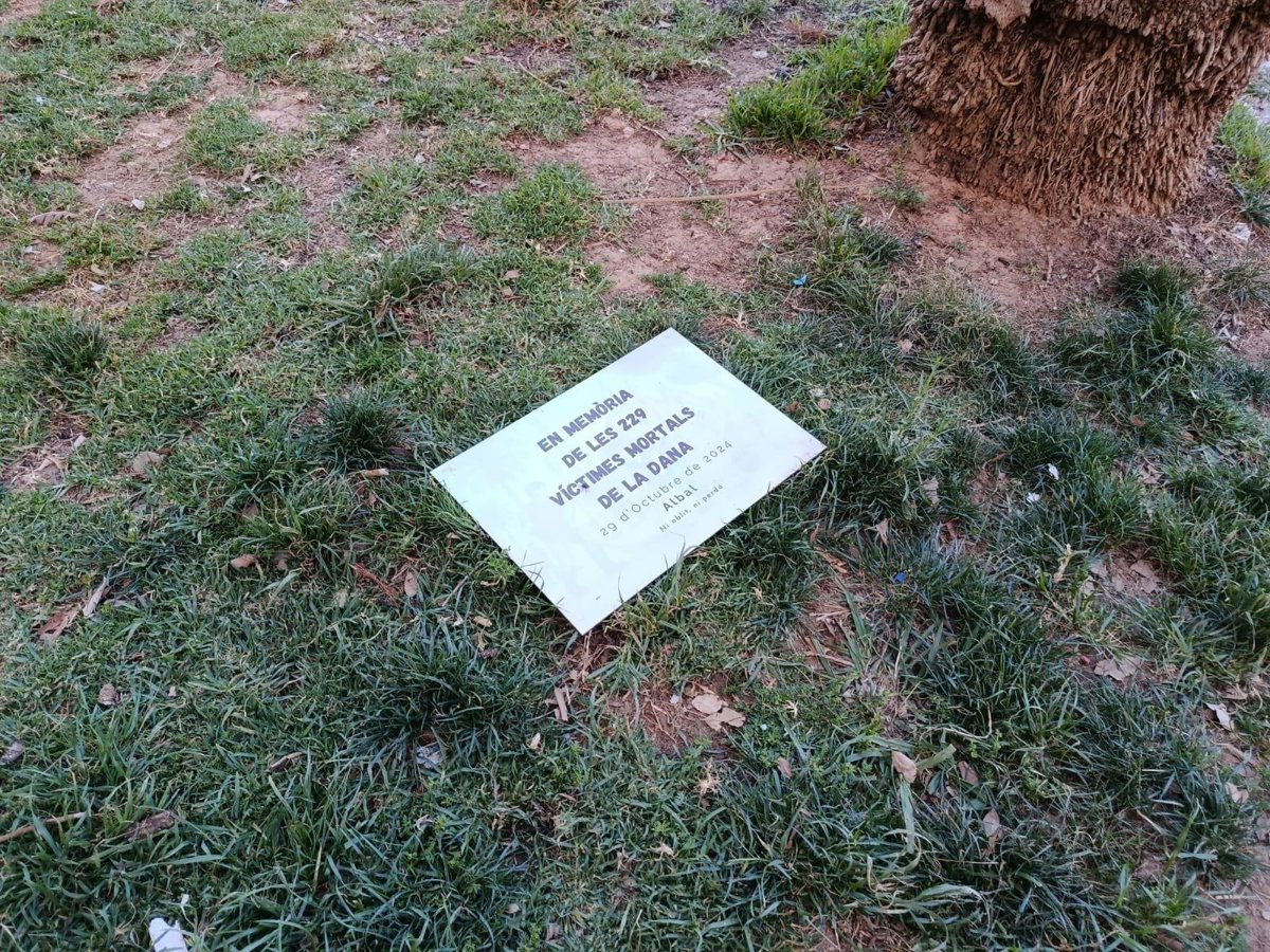Vecinos-de-Albal-piden-investigacion-por-acto-de-vandalismo-contra.jpg